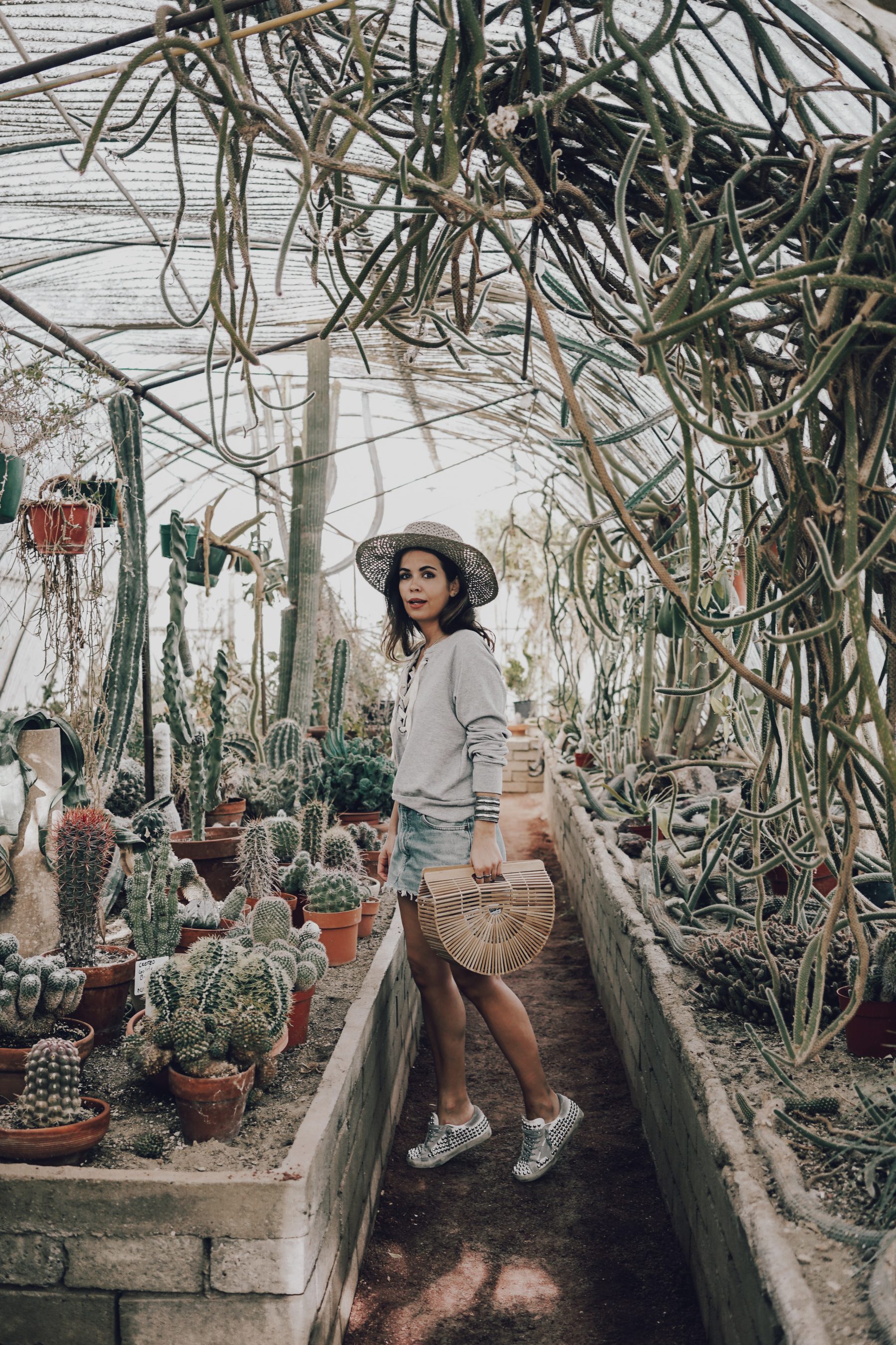 Cactus Land