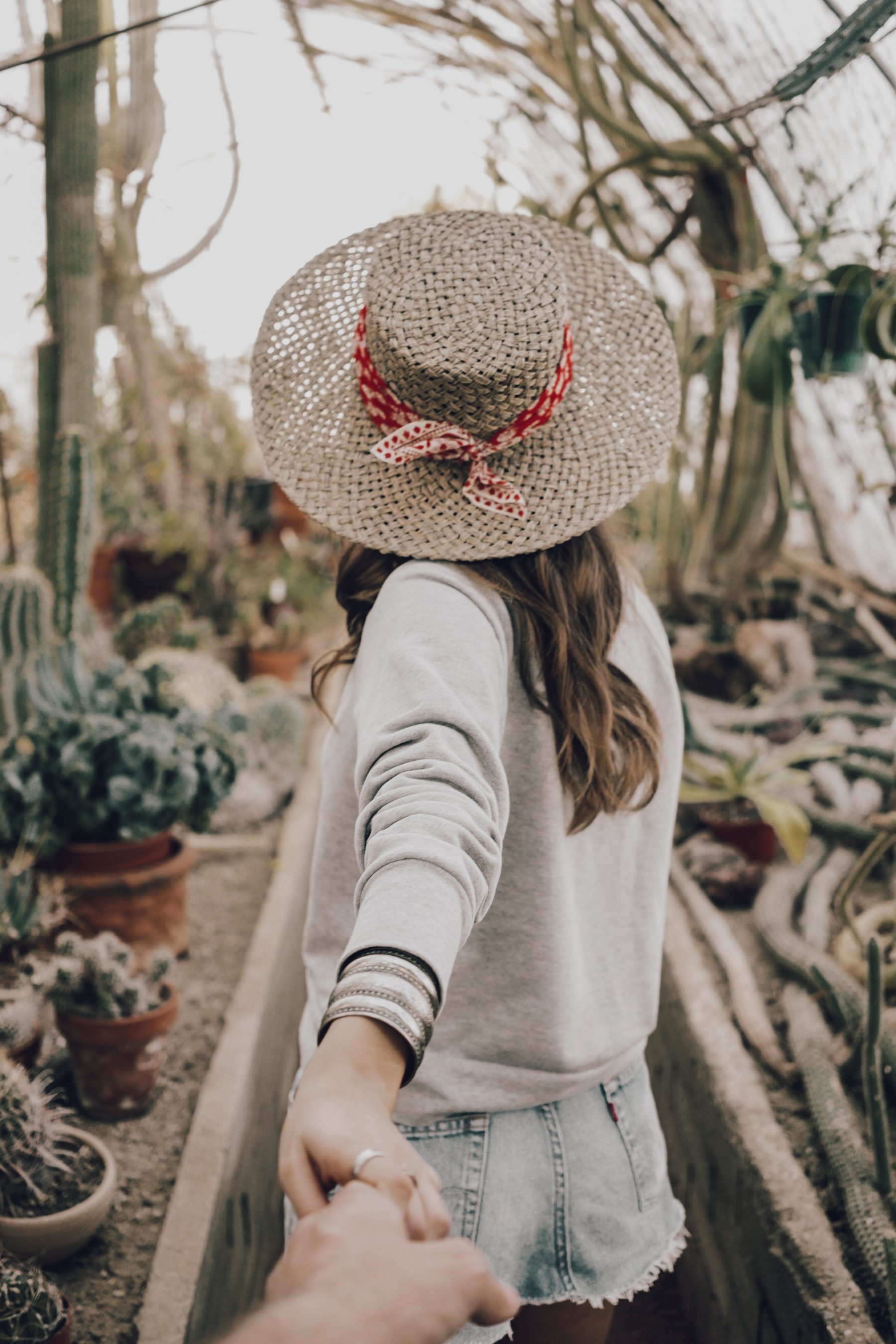 Cactus Land