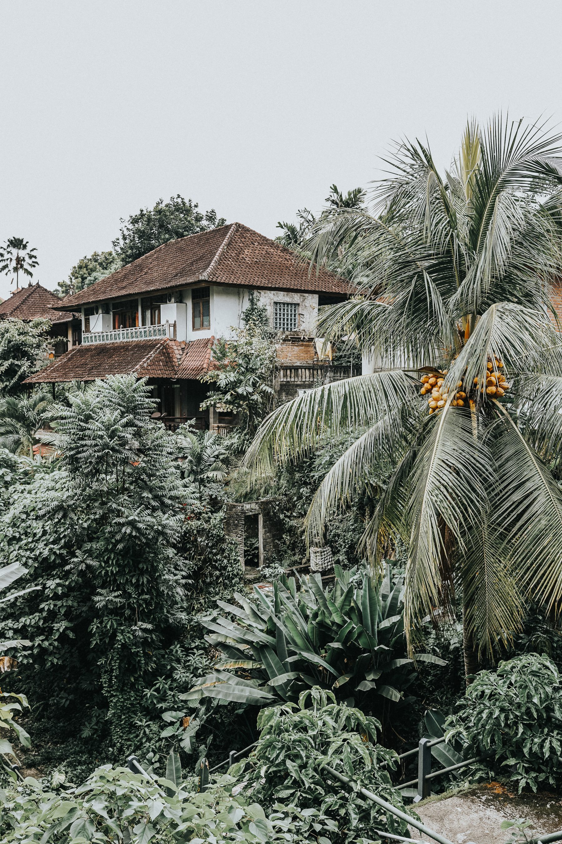 HELLO BALI!