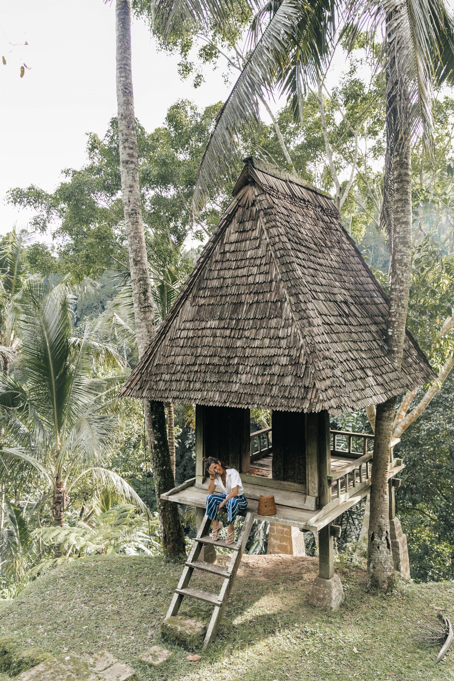 Tree House