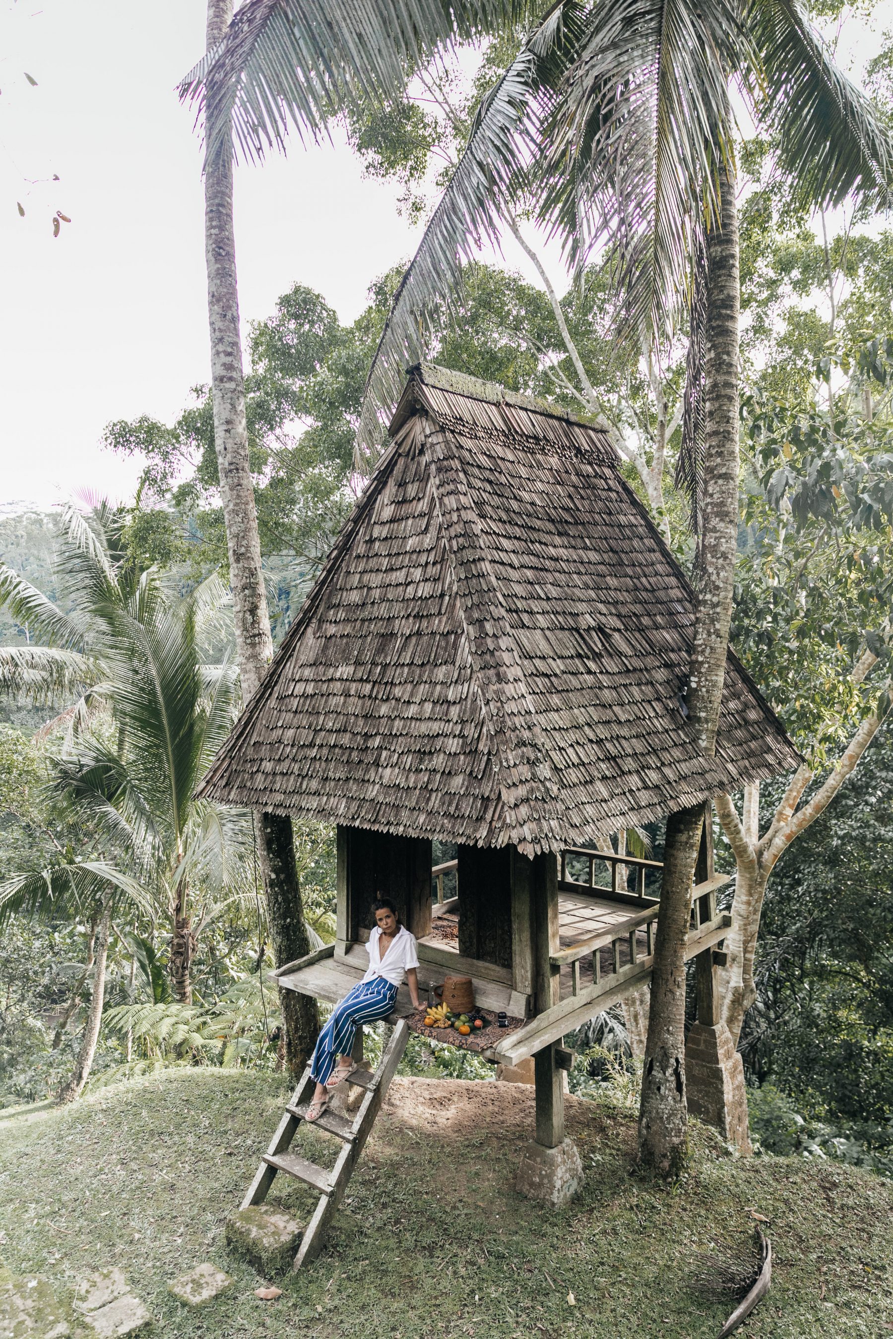 Tree House