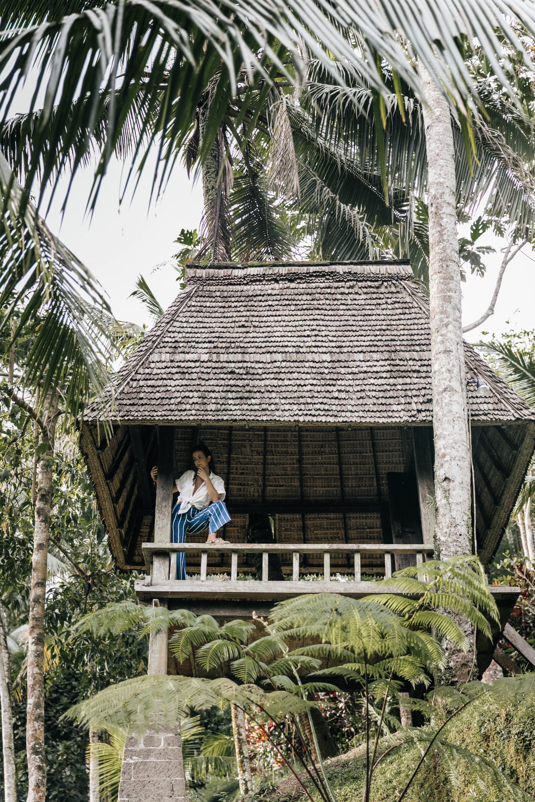 Tree House