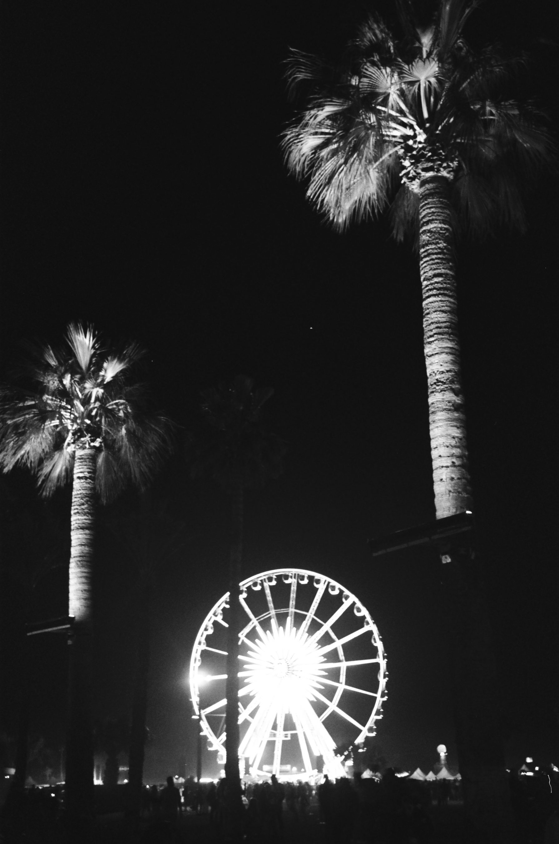 Revolve Festival