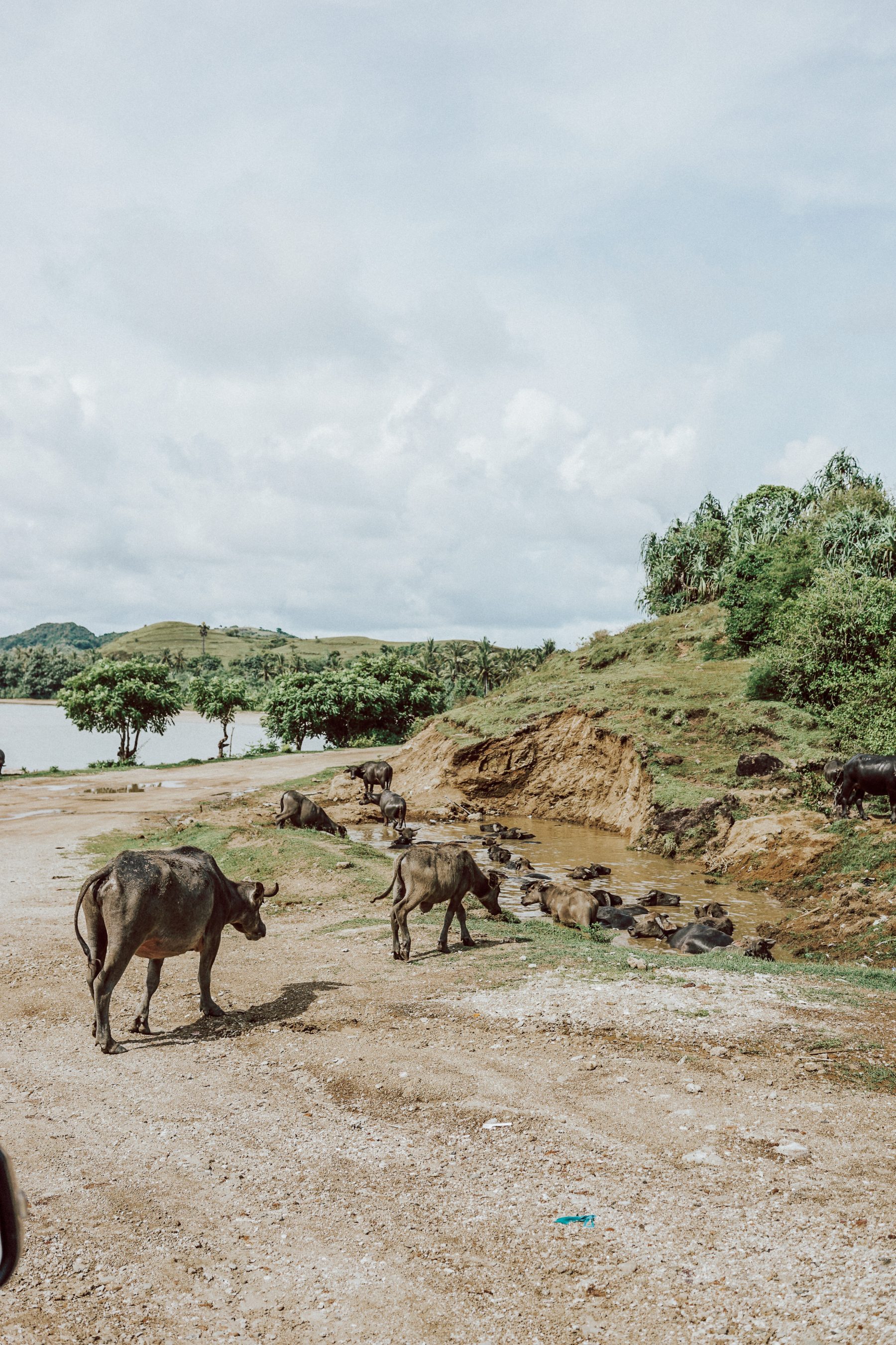 Lombok II