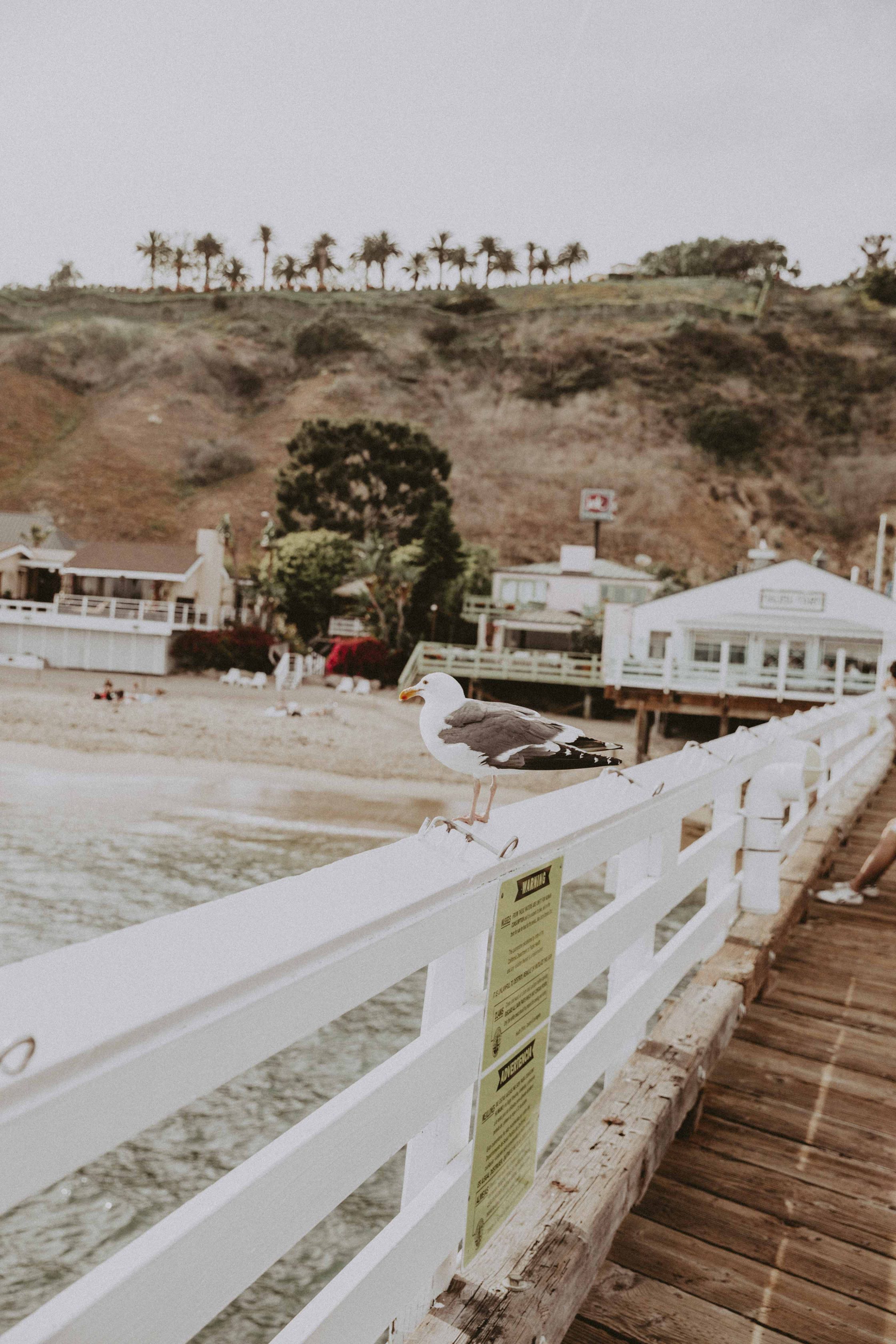 Malibu Getaway